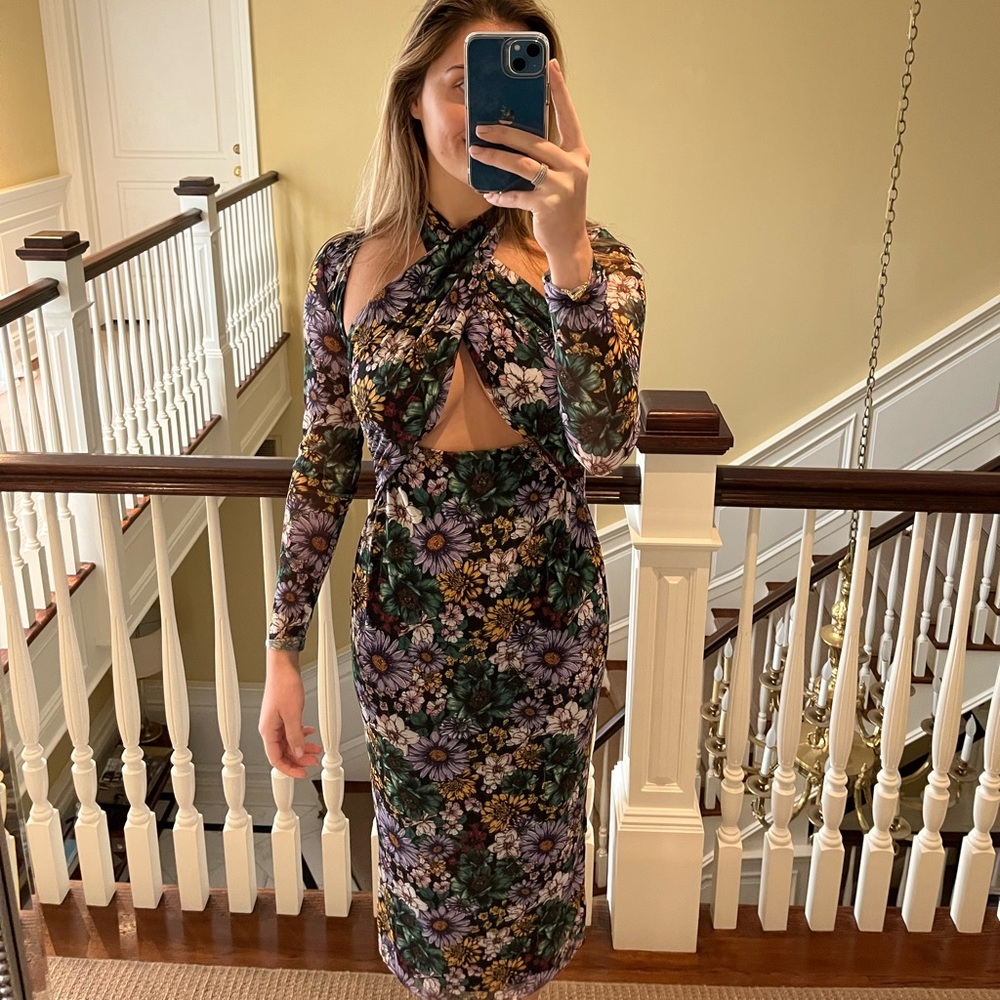 Adut Cutout Bodice Long Sleeve Mesh Midi Dress